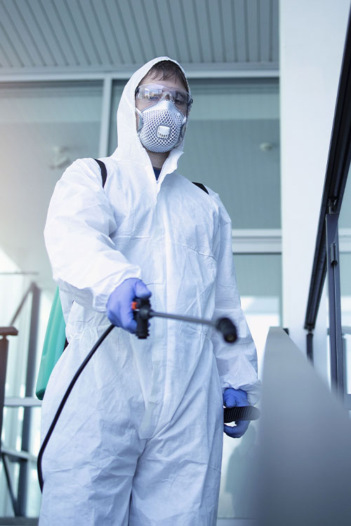 شركة مكافحة الحشرات